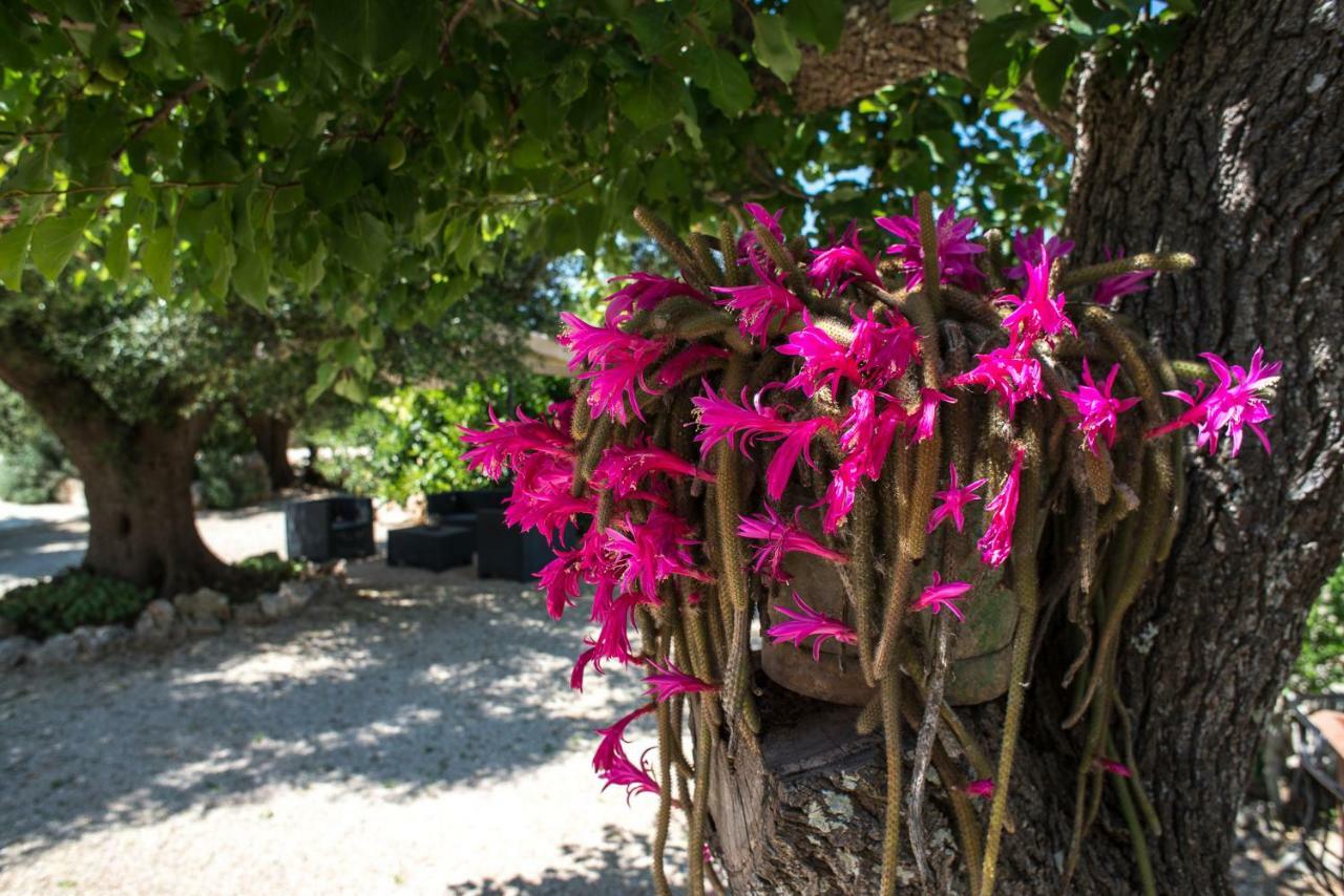 Agriturismo Grotta Di Figazzano Cisternino Exterior foto